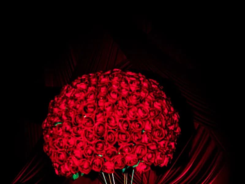 Events — Royal Moments Photography 29
